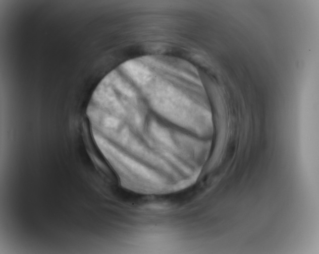 X0000088740601200706282146
