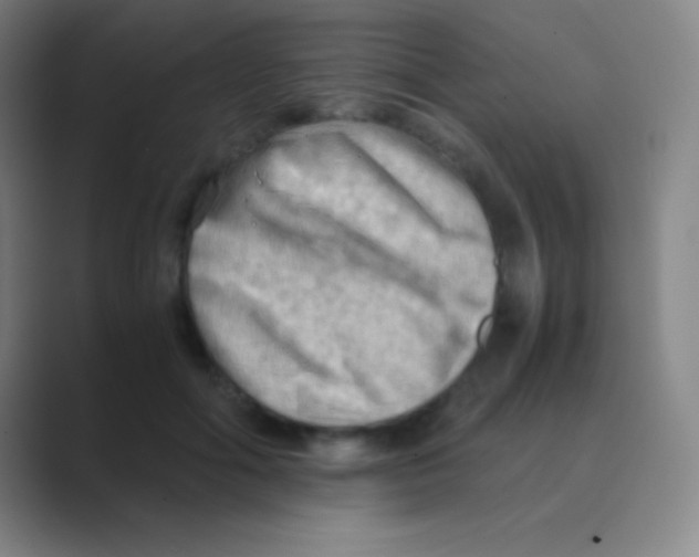 X0000088740602200706282146
