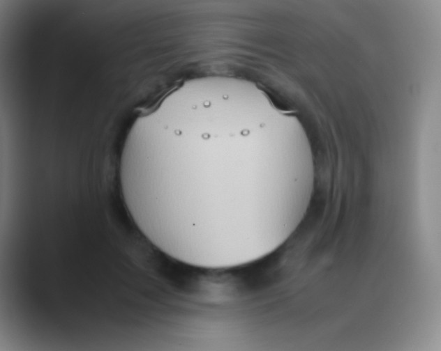 X0000088740603200706282146