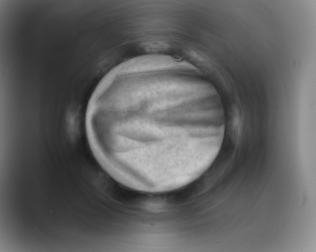 X0000088740604200706282146