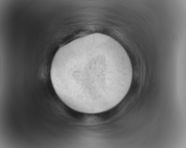 X0000088740605200706282146