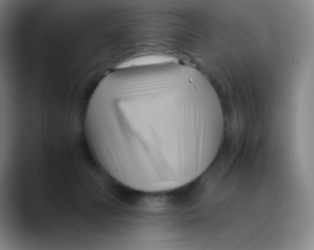 X0000088740606200706282146