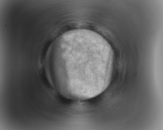 X0000088740607200706282146