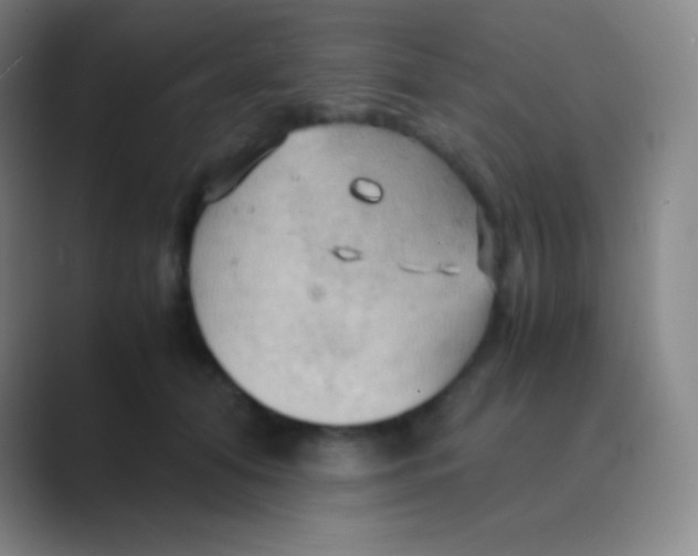 X0000088740608200706282146