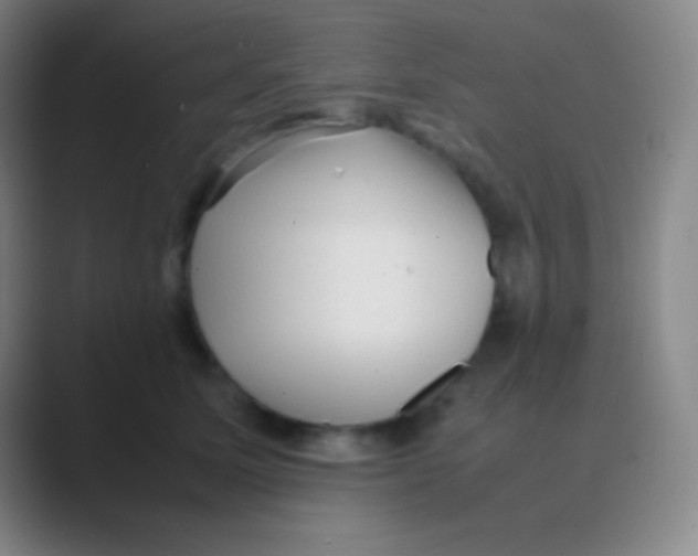 X0000088740611200706282146
