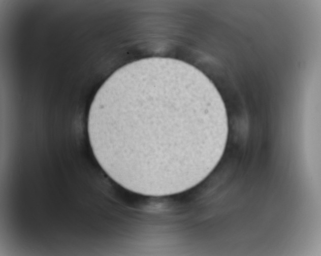 X0000088740612200706282146