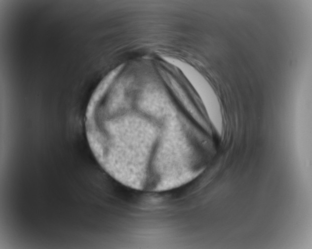 X0000088740613200706282146