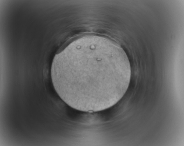 X0000088740615200706282146