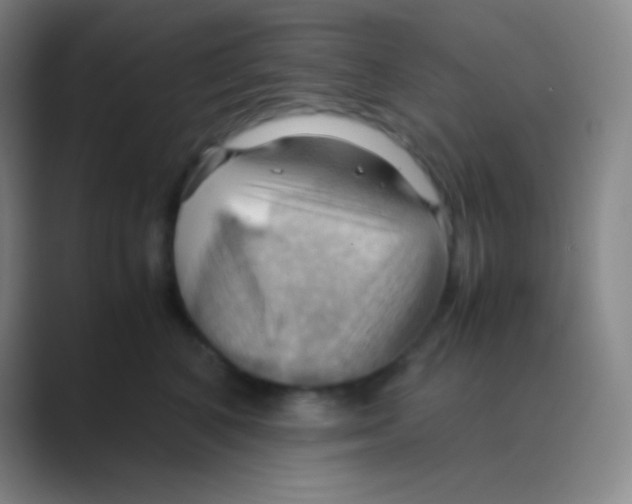 X0000088740616200706282145