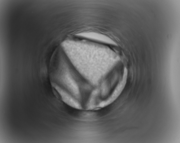 X0000088740617200706282145