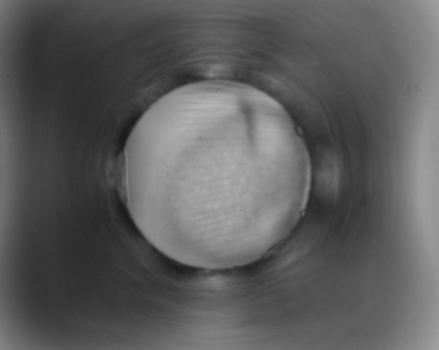 X0000088740620200706282145