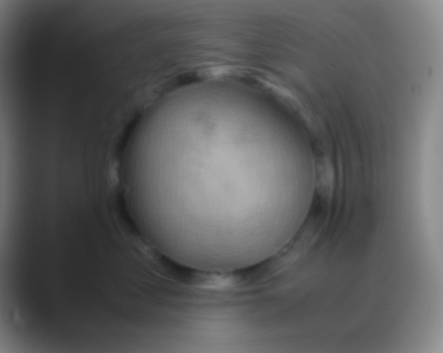 X0000088740621200706282145