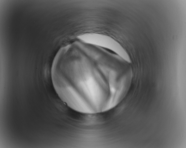 X0000088740623200706282145