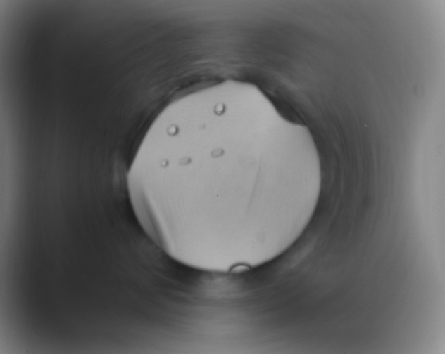 X0000088740624200706282145