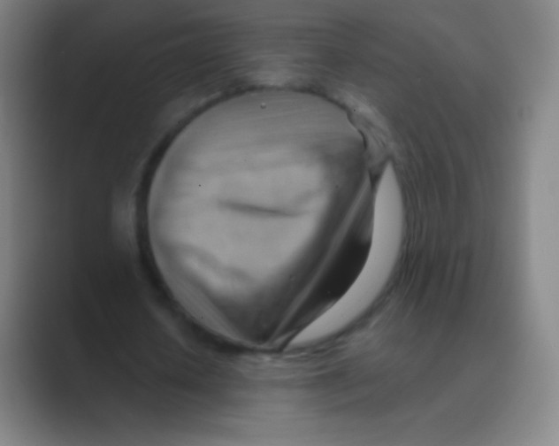 X0000088740626200706282145