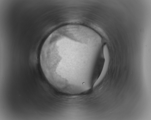 X0000088740628200706282145