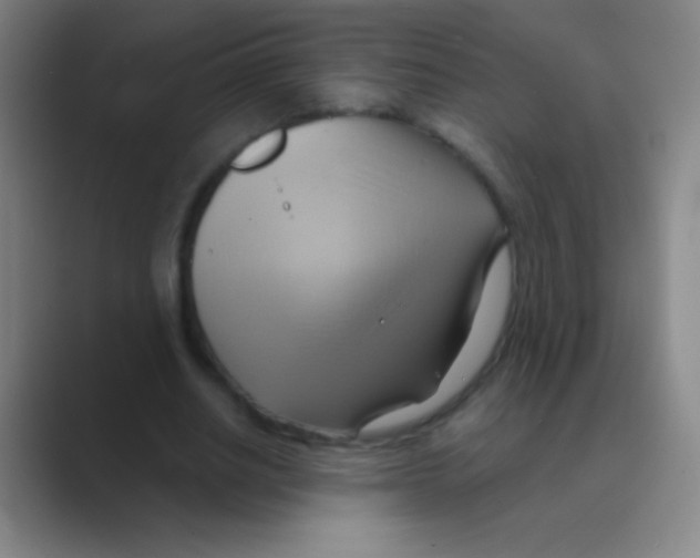 X0000088740630200706282145