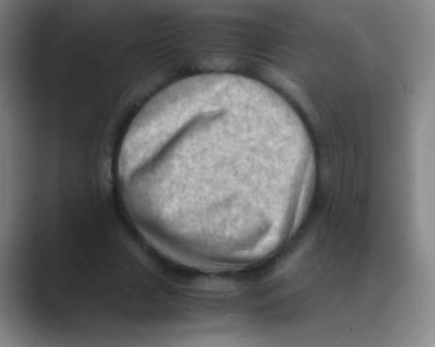 X0000088740633200706282145