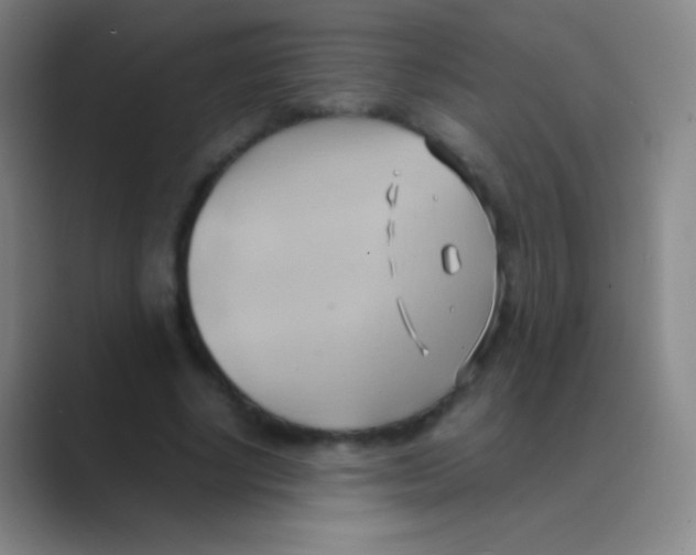 X0000088740634200706282145