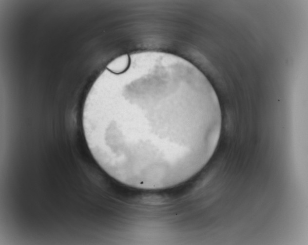 X0000088740636200706282145