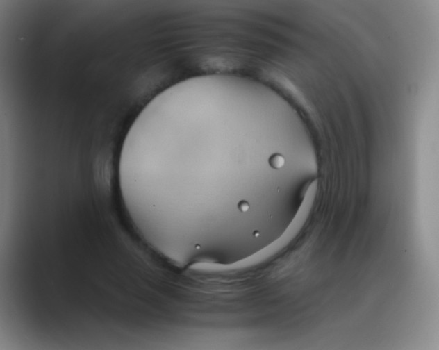 X0000088740637200706282145