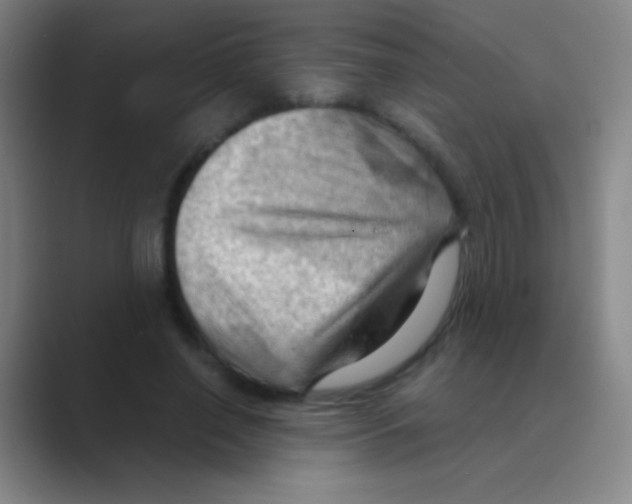X0000088740638200706282145