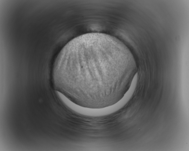 X0000088740639200706282145