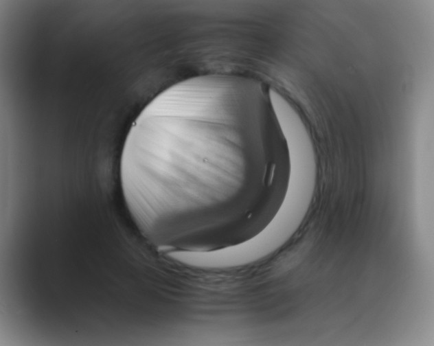 X0000088740641200706282145