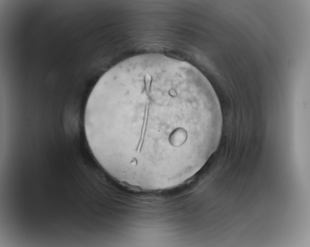 X0000088740644200706282145