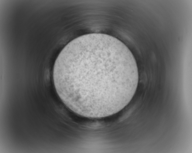 X0000088740646200706282145