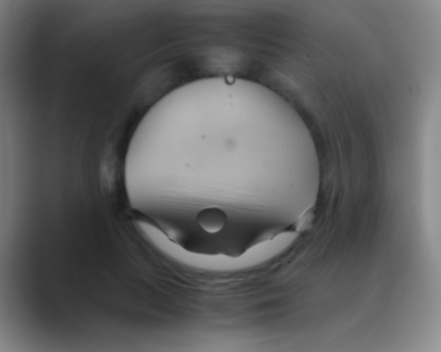 X0000088740647200706282145