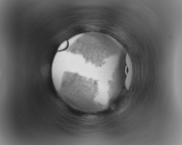 X0000088740649200706282145