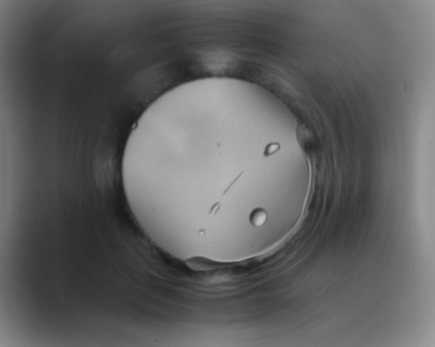 X0000088740651200706282145