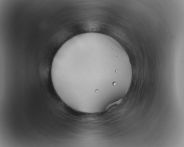 X0000088740652200706282145