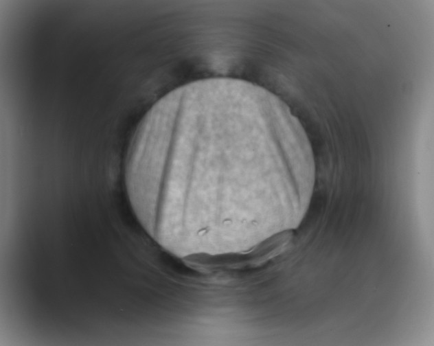 X0000088740656200706282145
