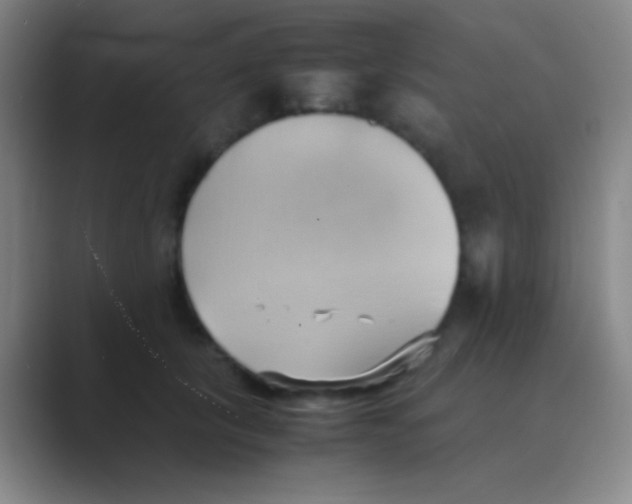 X0000088740657200706282145
