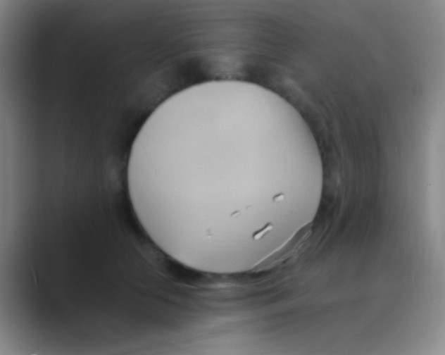 X0000088740658200706282145