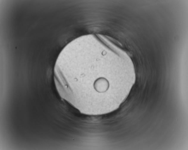 X0000088740660200706282145