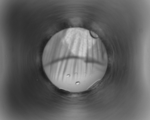 X0000088740662200706282145