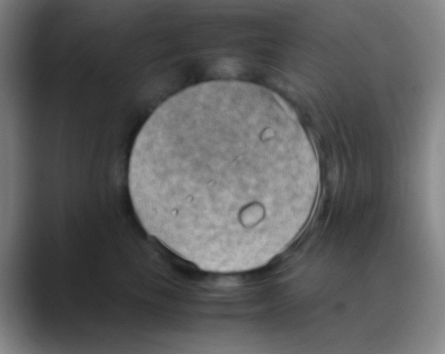 X0000088740665200706282145