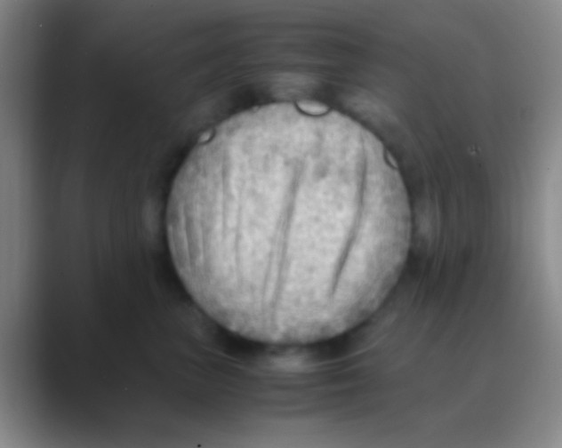 X0000088740667200706282145