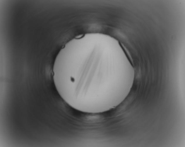 X0000088740669200706282145