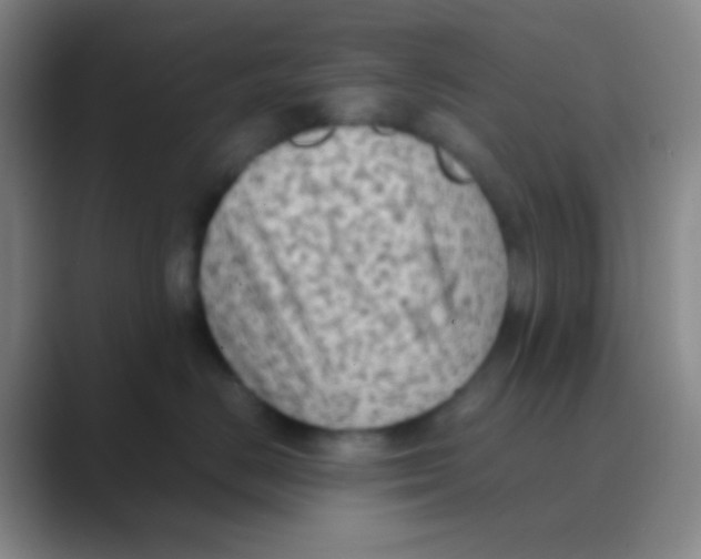 X0000088740670200706282145