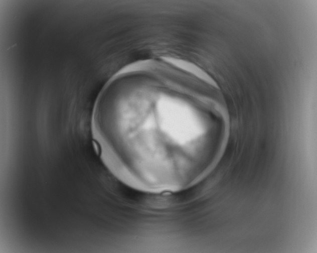 X0000088740671200706282145