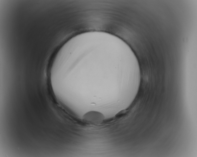 X0000088740674200706282145