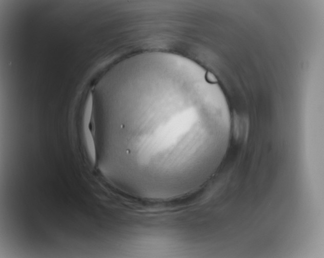 X0000088740675200706282145
