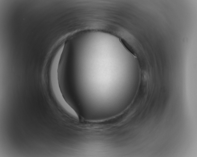 X0000088740676200706282145