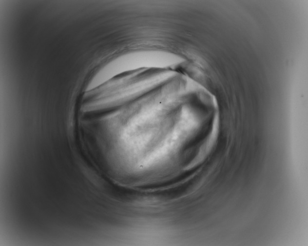 X0000088740677200706282145