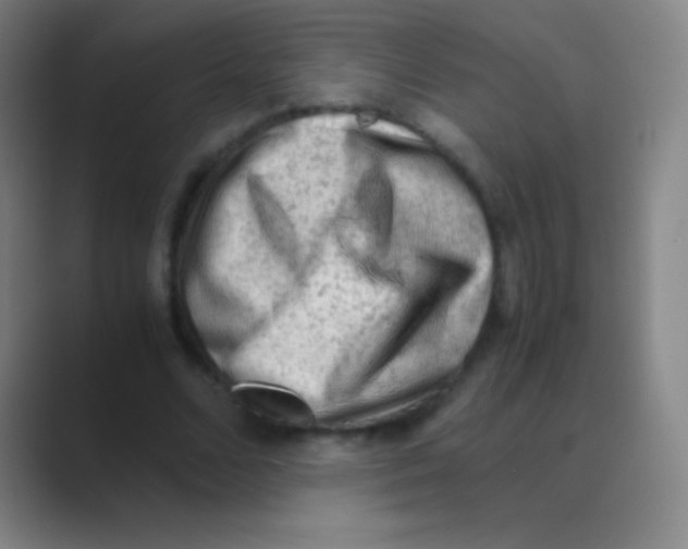 X0000088740680200706282145