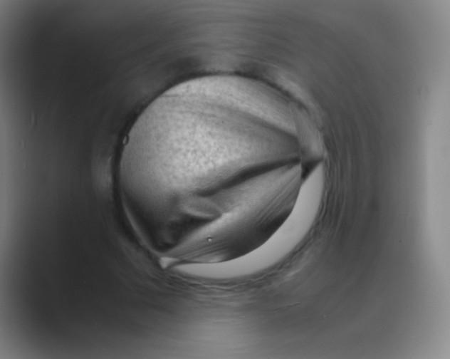 X0000088740681200706282144